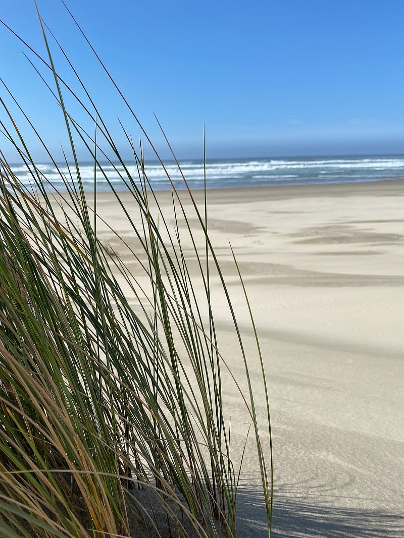 Beautiful beach access 66C