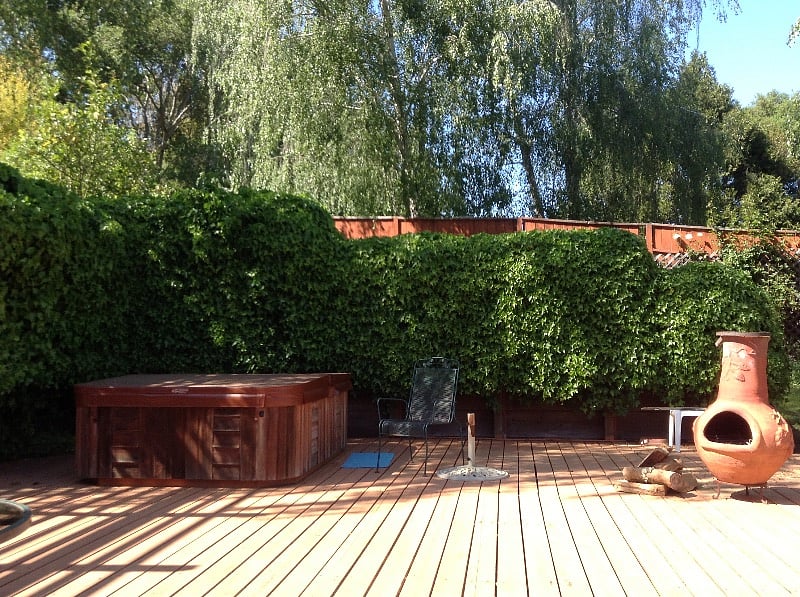 Back yard from deck
