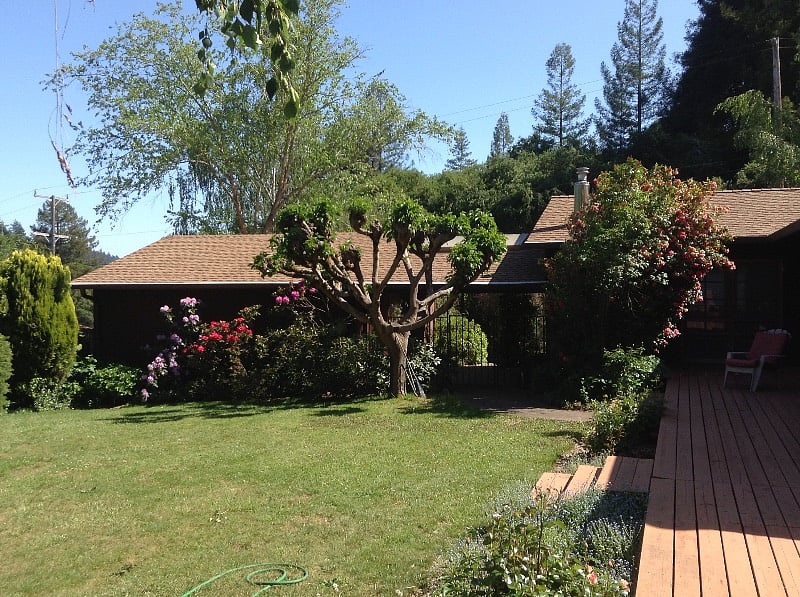 Yard