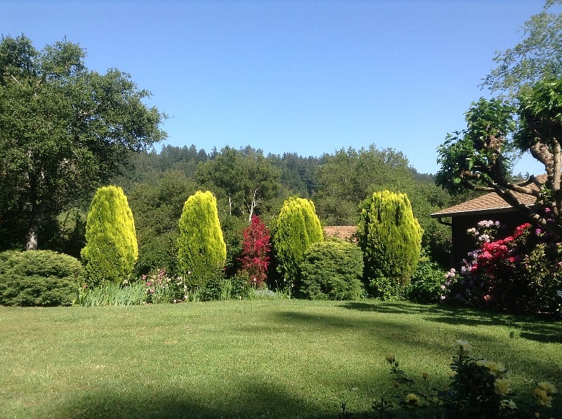 Mountain View from Deck
