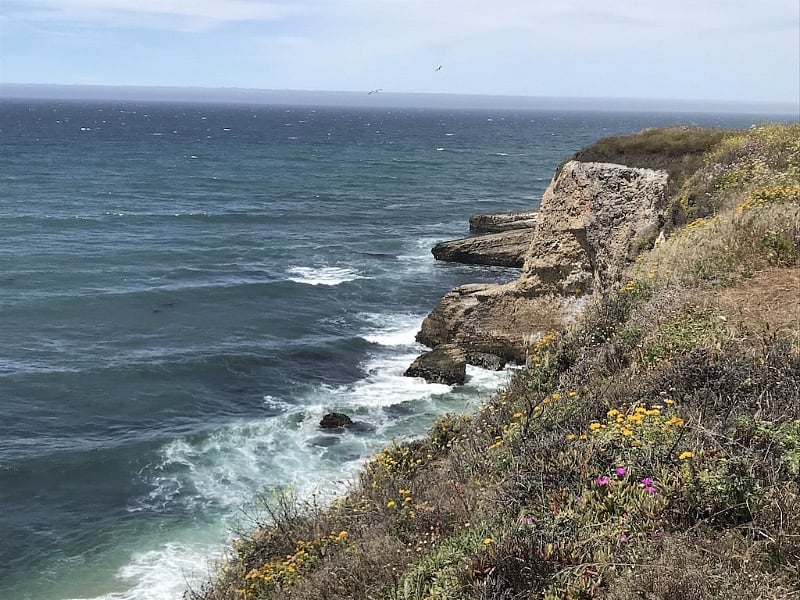 Property is 7 miles from the coast
