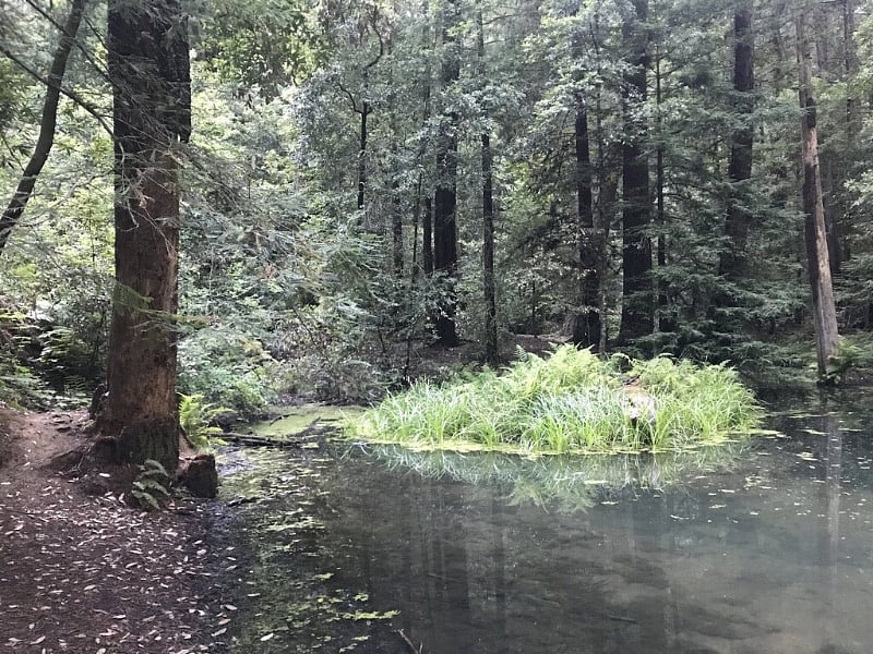 Fall Creek State Park walkable from House