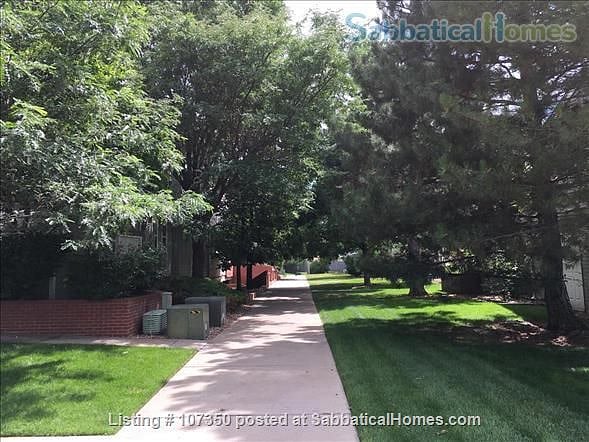 Furnished Finder property 389771_1 photo 21