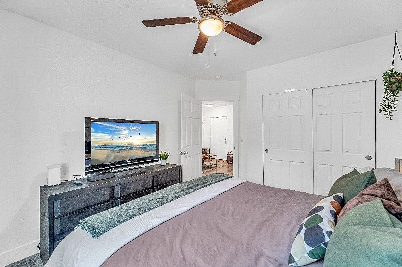 Furnished Finder property 389856_1 photo 19