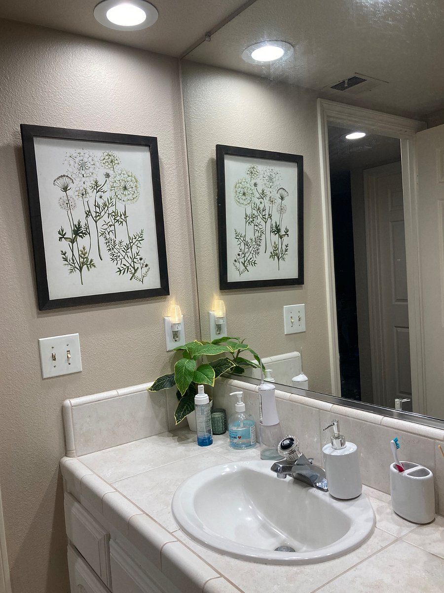 Furnished Finder property 389876_2 photo 11
