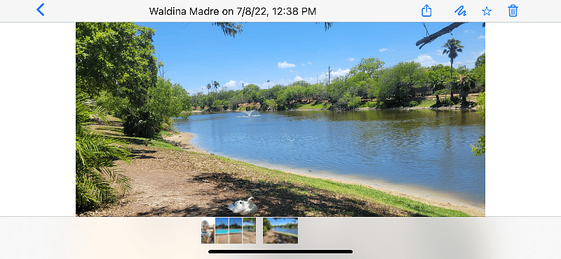 Furnished Finder property 390032_1 photo 15