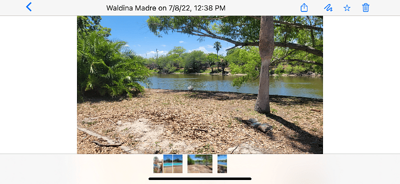 Furnished Finder property 390032_1 photo 16