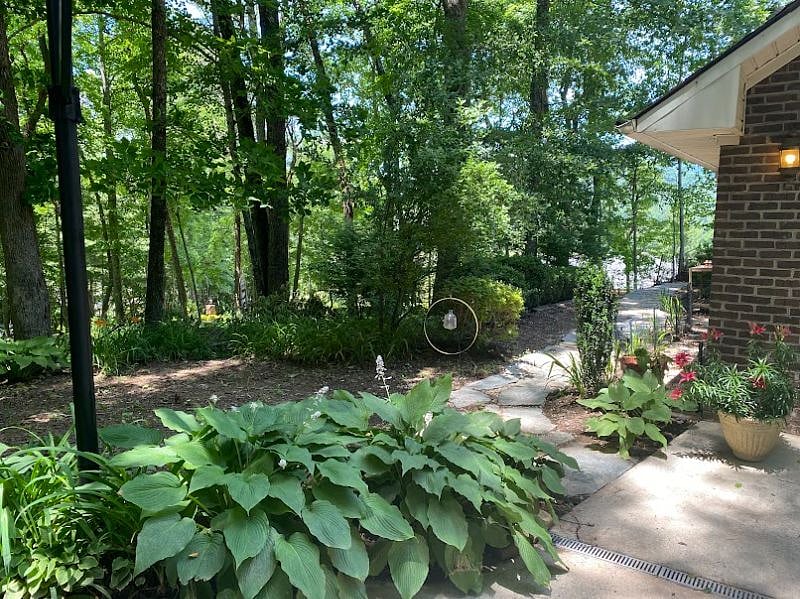 Furnished Finder property 390247_1 photo 6