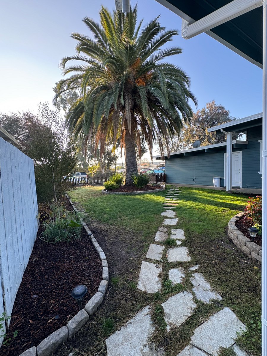 Furnished Finder property 390250_1 photo 12