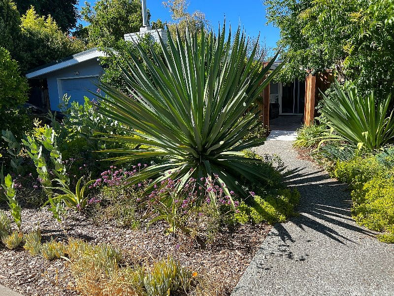 Furnished Finder property 390256_1 photo 8