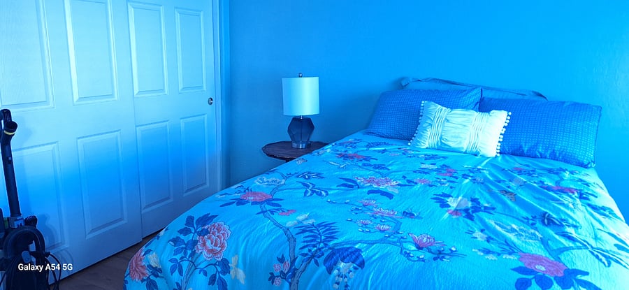 Furnished Finder property 390270_1 photo 9