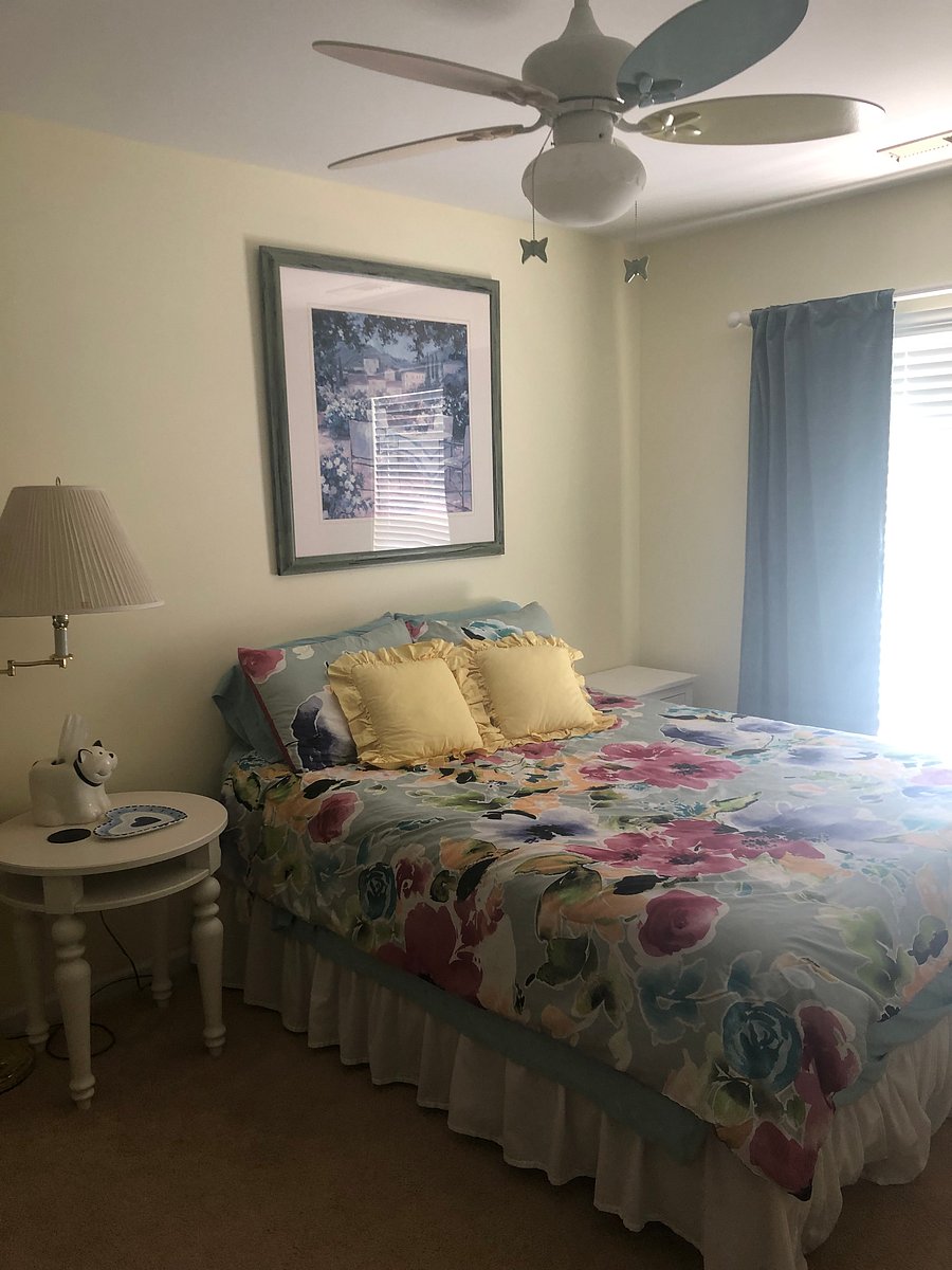 Furnished Finder property 390558_1 photo 5