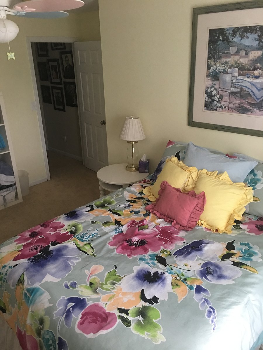 Furnished Finder property 390558_1 photo 4