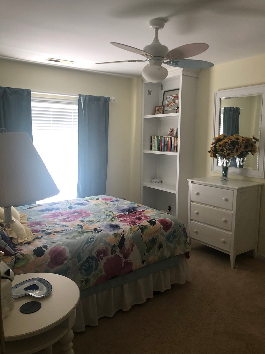 Furnished Finder property 390558_1 photo 3