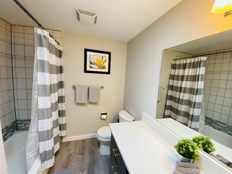 Furnished Finder property 390562_1 photo 14