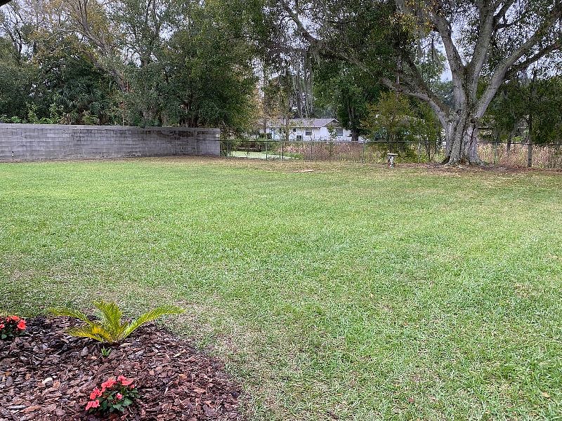 Back yard it is a shared space - I respect my tenants privacy.  But my Dog Mia (Yorkie) does roam around the yard. 