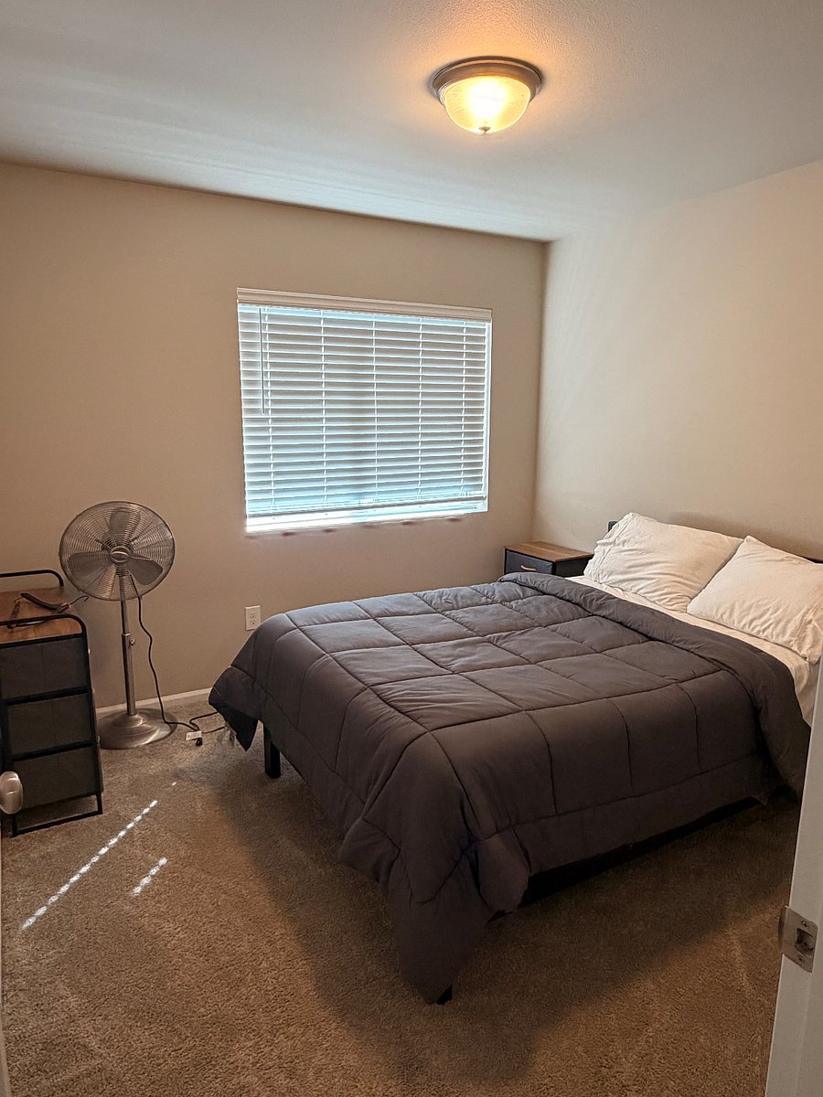 Furnished Finder property 391560_1 photo 25