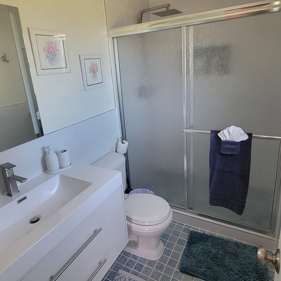 Master bathroom