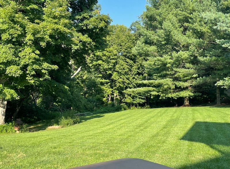 quiet and serene backyard