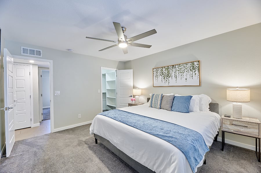 Furnished Finder property 392202_1 photo 13