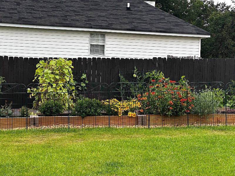 If you like gardens, I'm pretty partial to my flowers and vegtable beds.