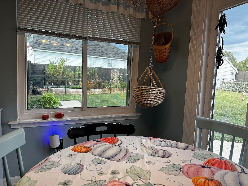 This side of the table overlooks the herb, vegtable, and flower gardens.