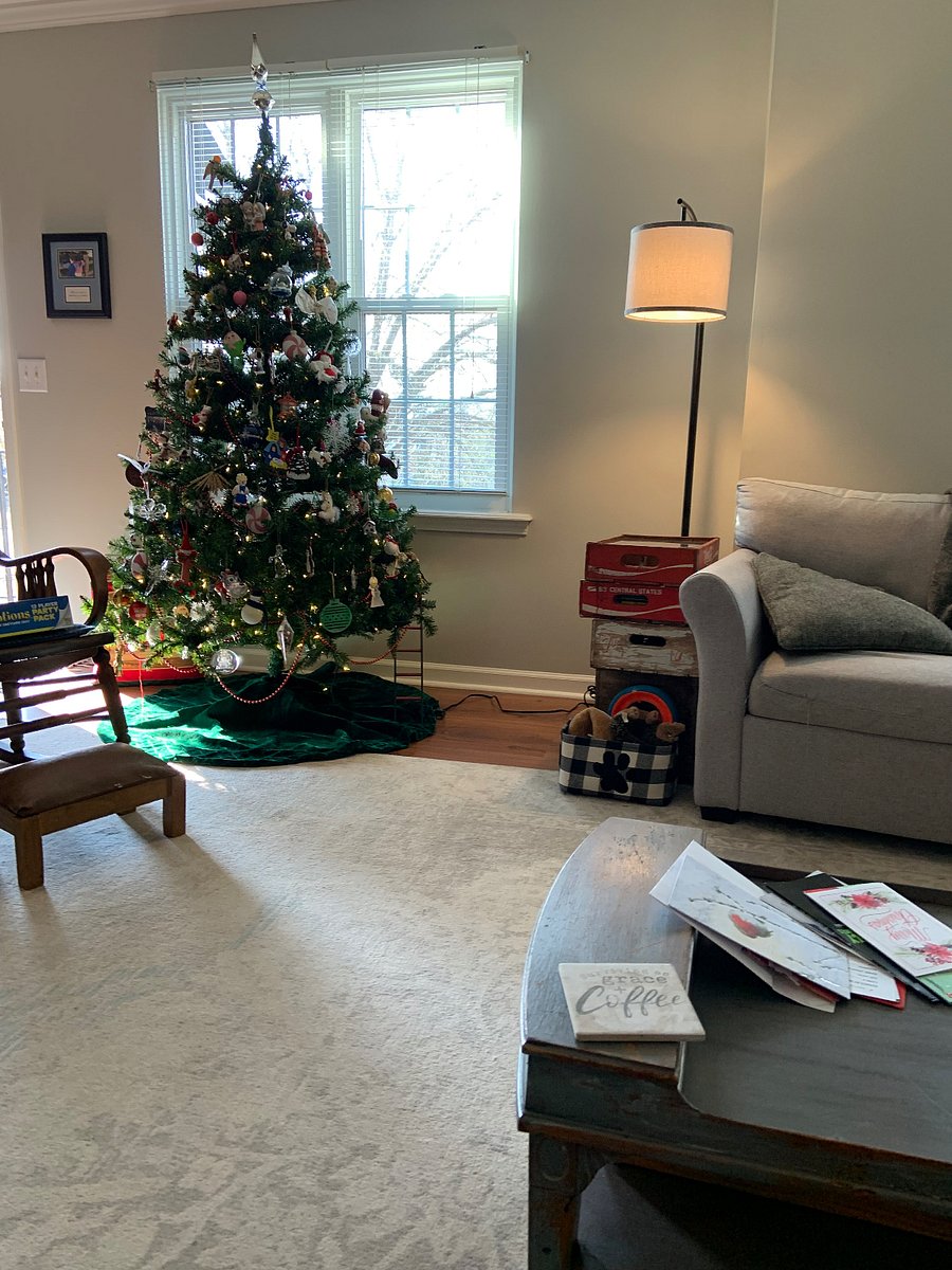 Furnished Finder property 392281_1 photo 24