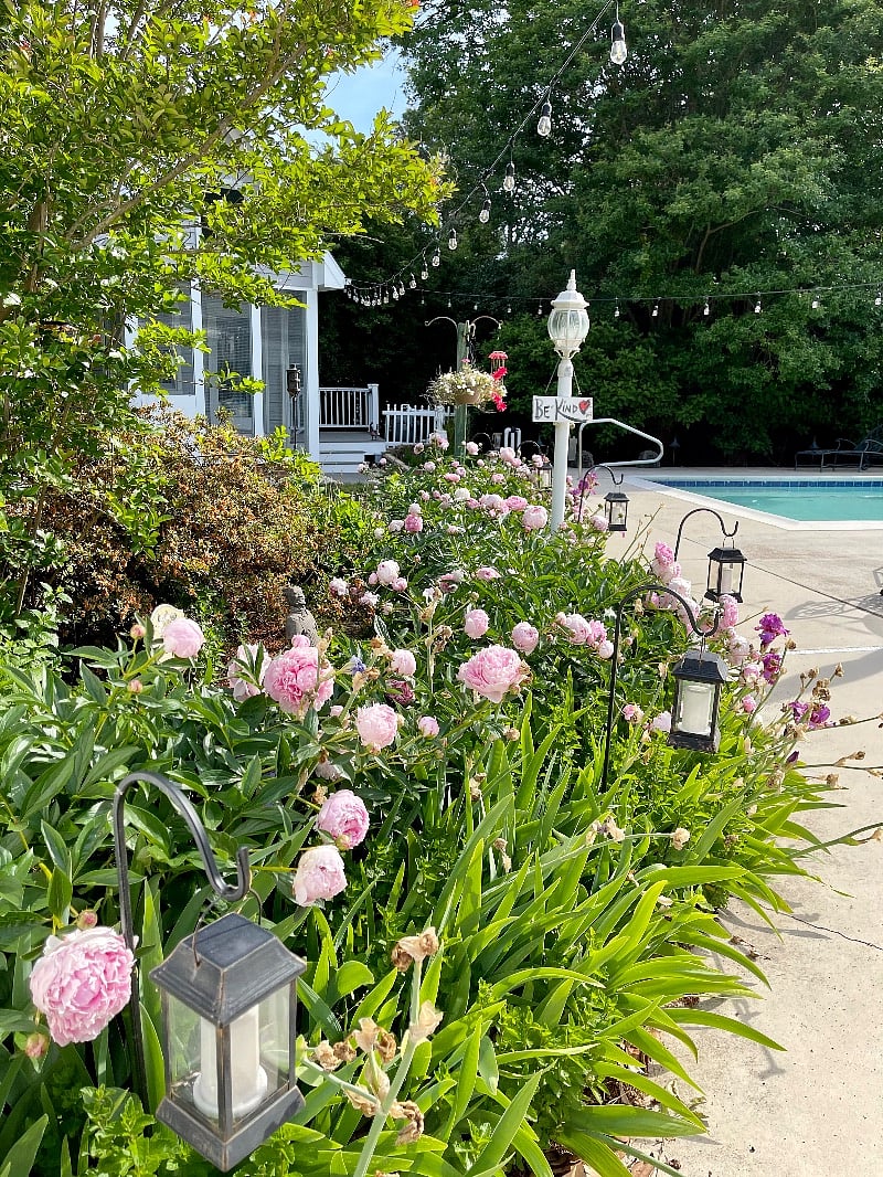 Furnished Finder property 392450_1 photo 3
