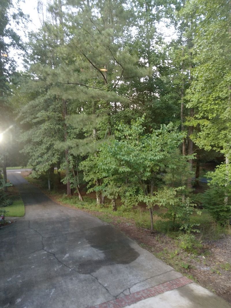 Furnished Finder property 392598_1 photo 23