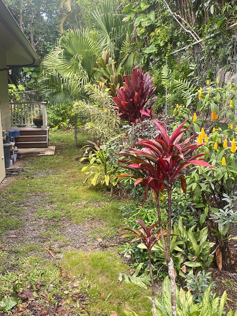 Furnished Finder property 392869_1 photo 12