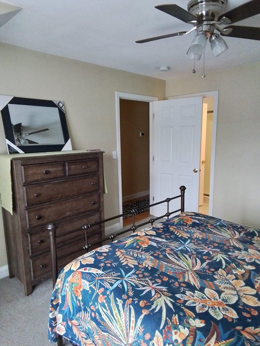Furnished Finder property 392905_1 photo 24