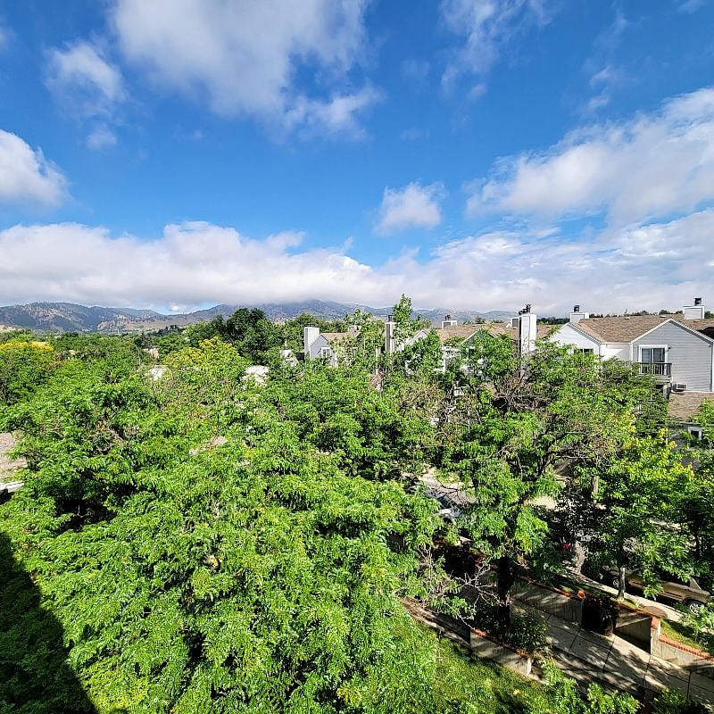 View from that Porch