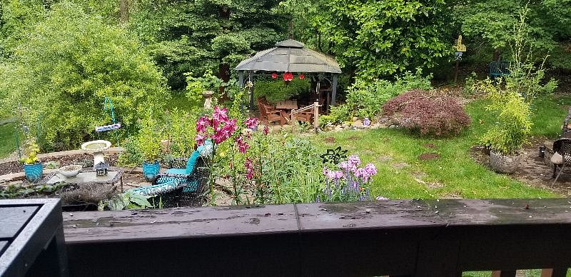Seating area and gazebo in garden