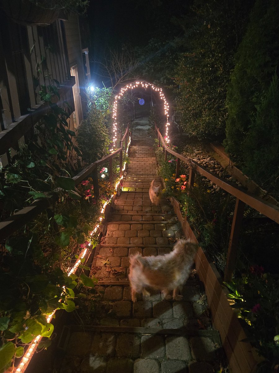 lights at night