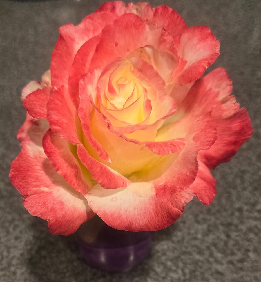 Spring is in the air!
