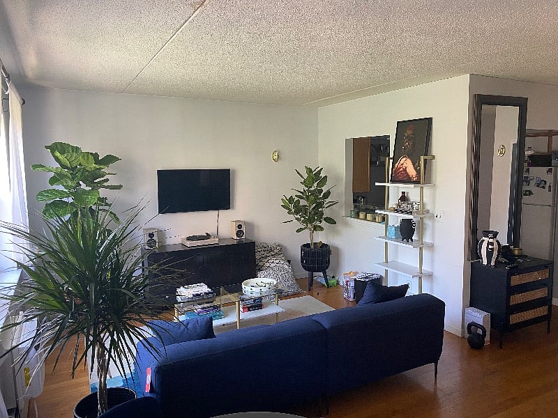 Furnished Finder property 393138_1 photo 4