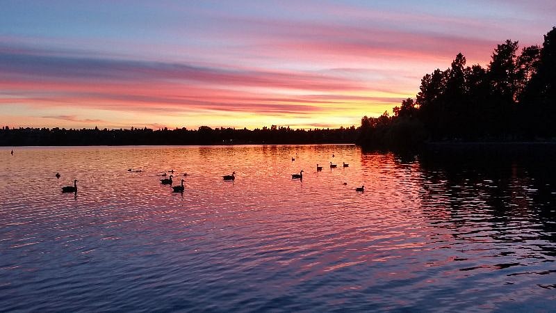 Sunset at Greenlake