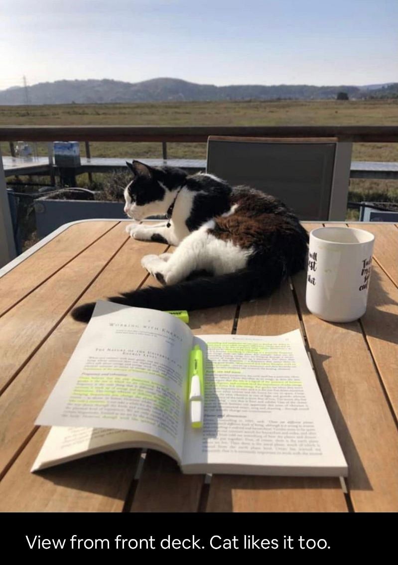 Our beloved kitty who passed on - those who stayed here with him absolutely loved him.