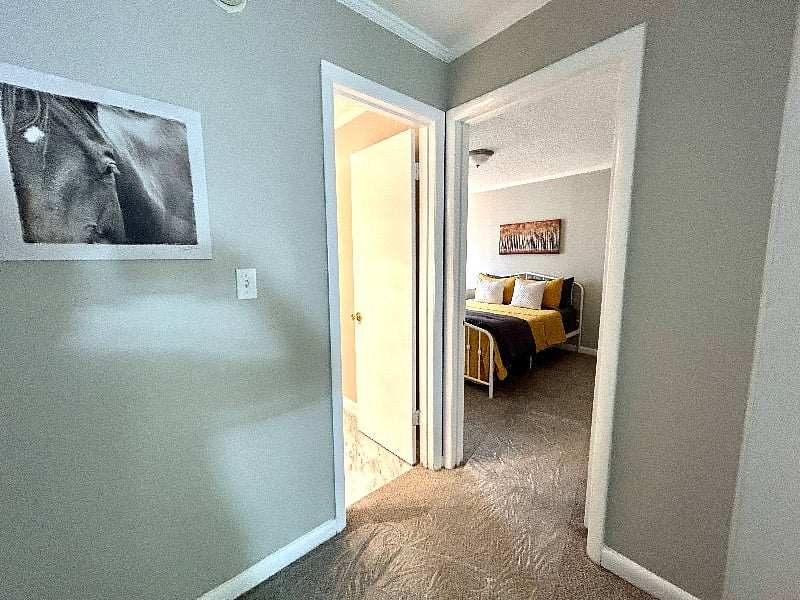 Furnished Finder property 393698_4 photo 16