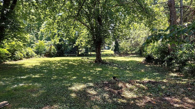 Lusciously green and shaded back yard for your relaxation.