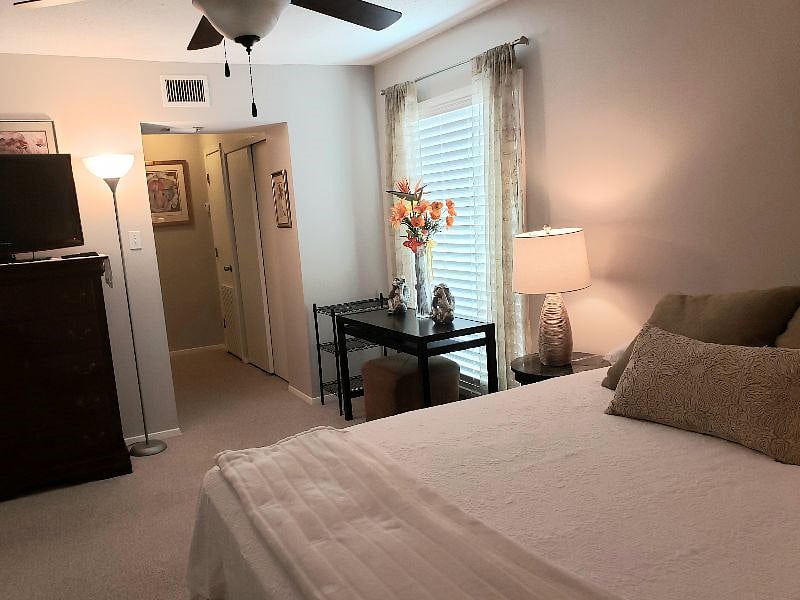 Furnished Finder property 393903_1 photo 5
