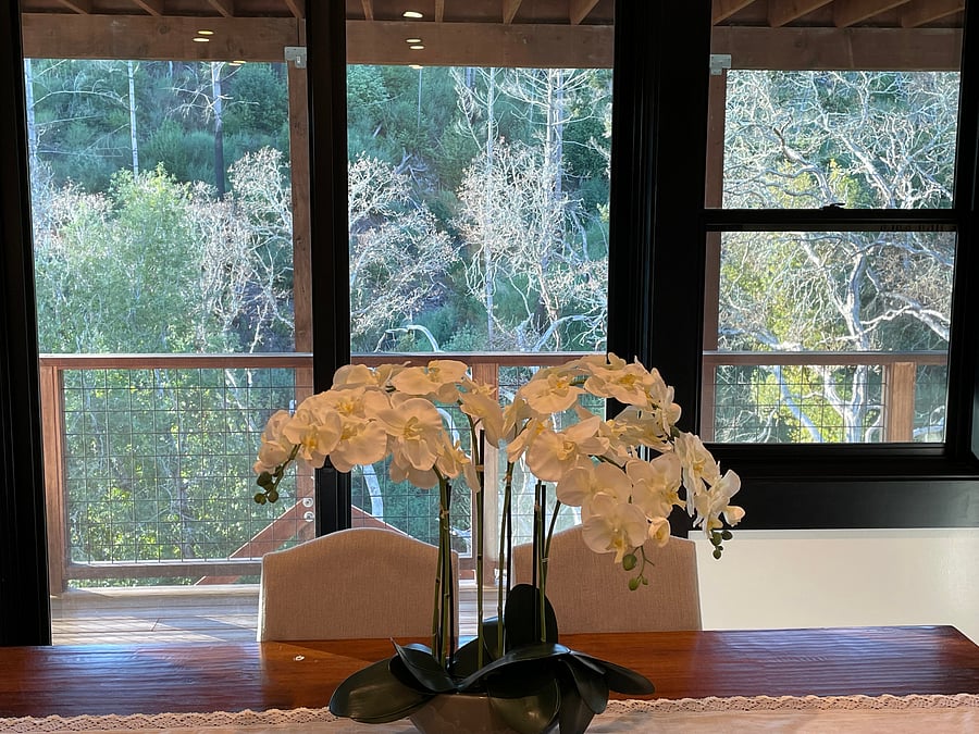 Furnished Finder property 394295_1 photo 5