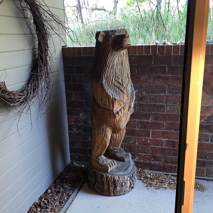 Sentinel guards front door