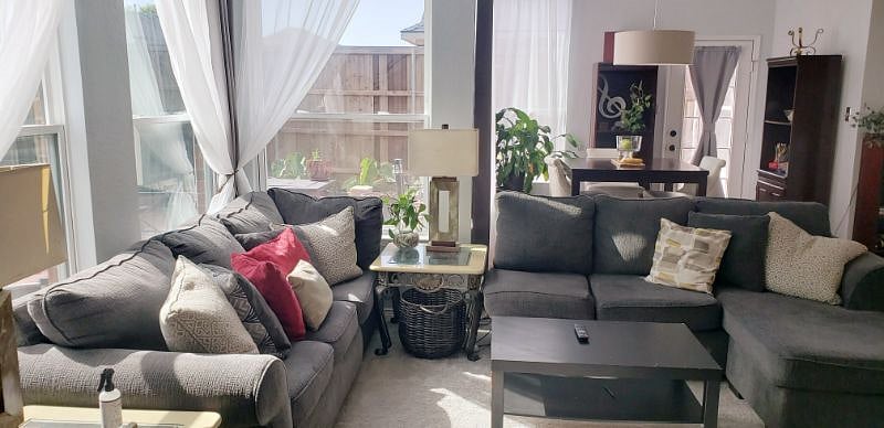 Furnished Finder property 394383_1 photo 7