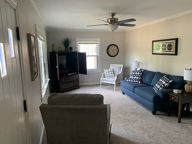 Furnished Finder property 394527_1 photo 5