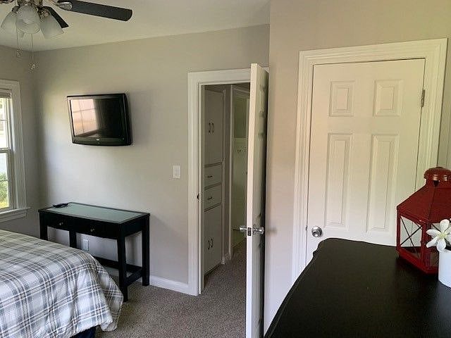 Furnished Finder property 394527_1 photo 12
