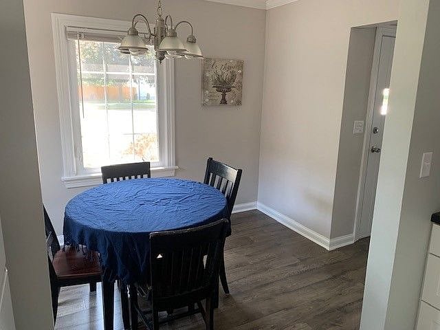Furnished Finder property 394527_1 photo 21