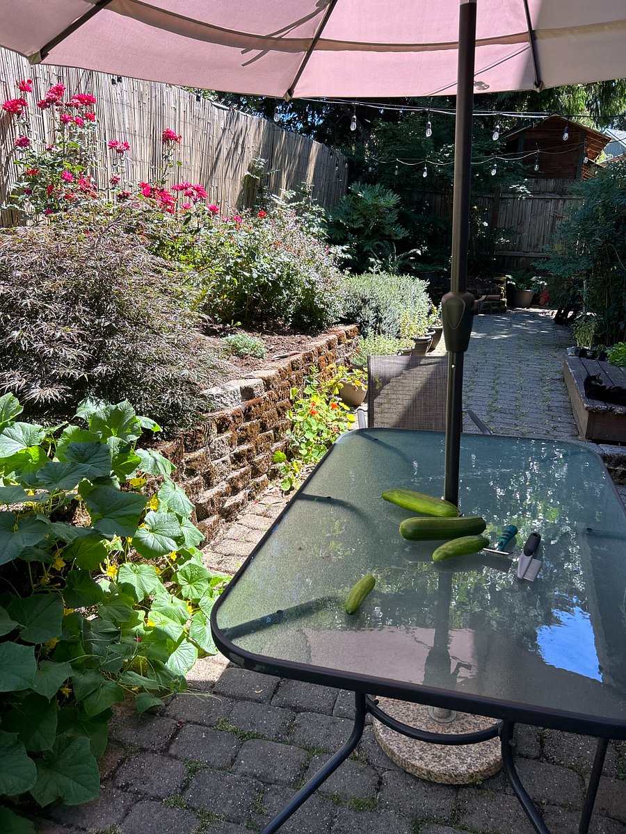 outdoor garden