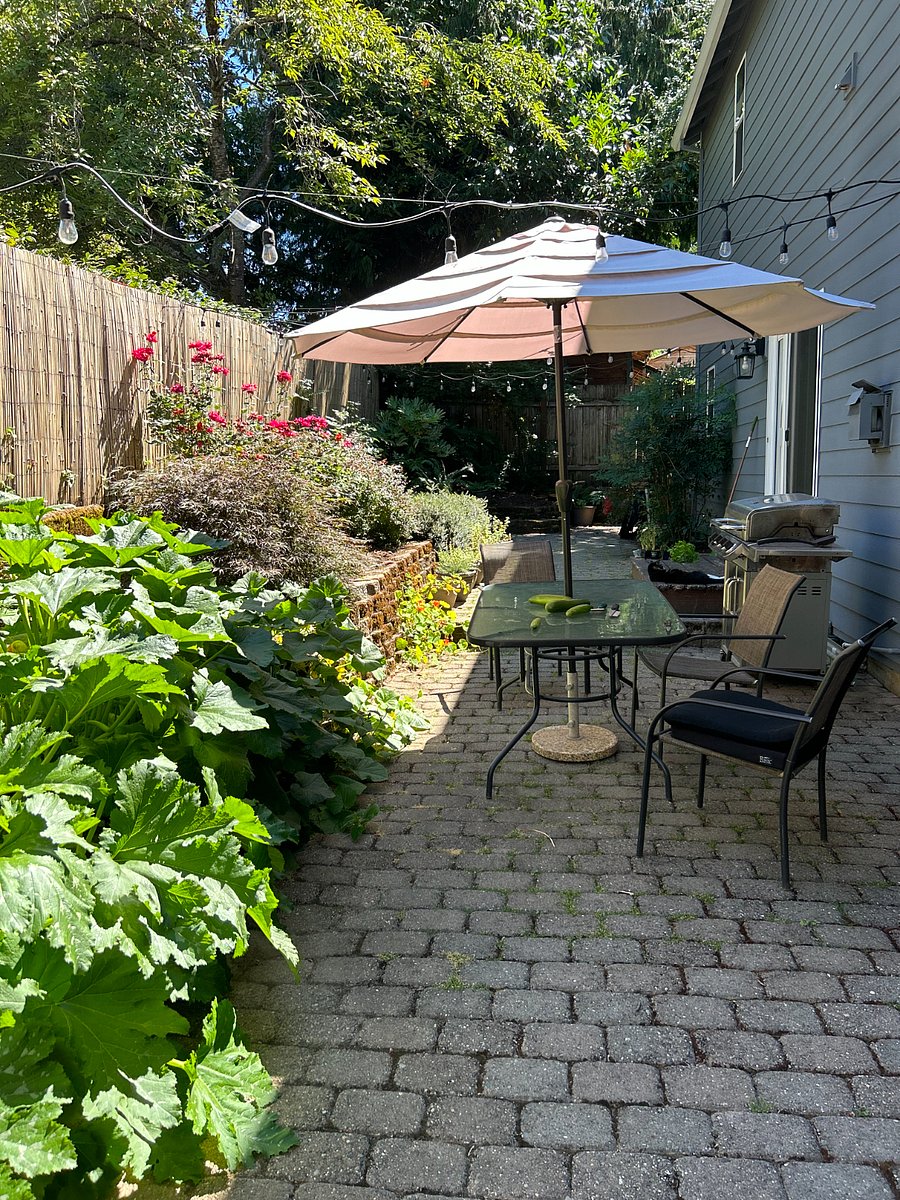 Outdoor garden