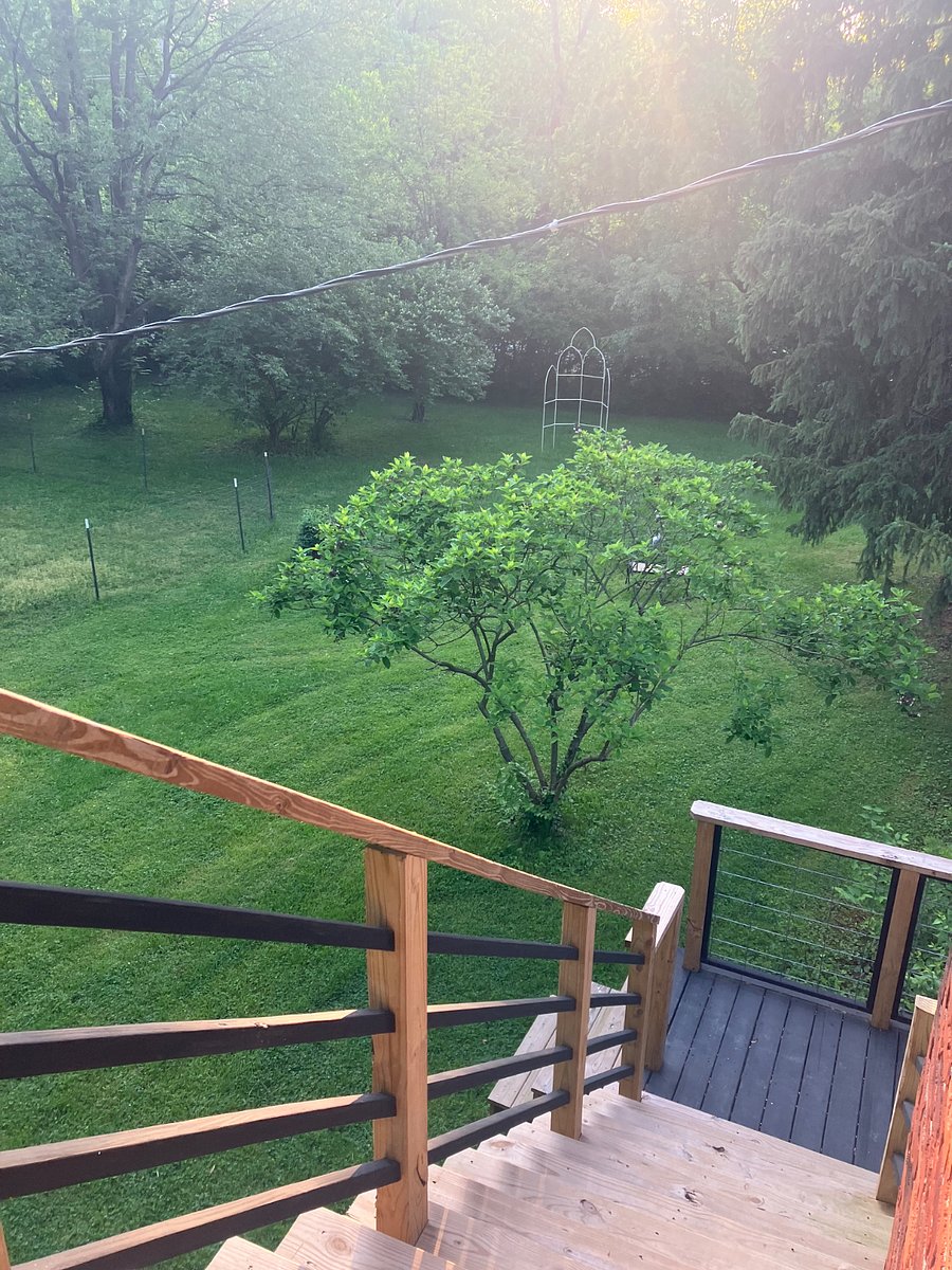 Nice view of yard and private entrance.